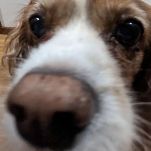 Meet your Posher, Kai